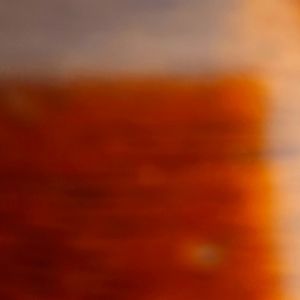 Meet your Posher, Ronnie